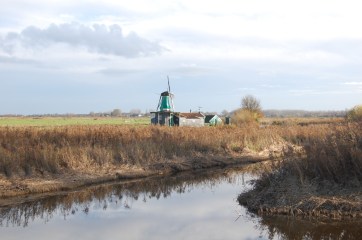 oostzijderveld18nov121
