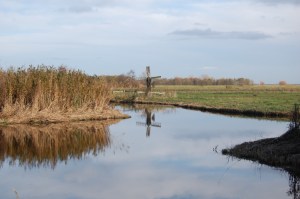 oostzijderveld18nov122